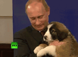 Vladimir Putin Love GIF