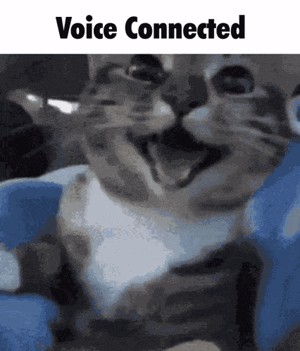 Voice Connected Discord GIF