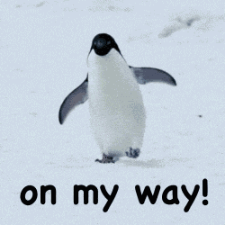 Waddle GIF
