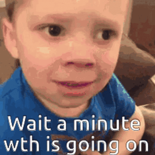 Wait A Minute Wth GIF