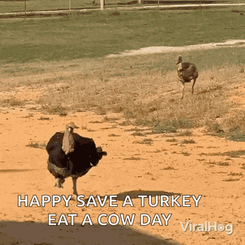 Wait For Me Im Coming GIF