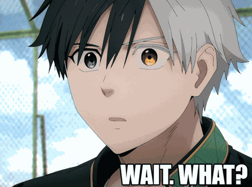 Wait What Confused GIF
