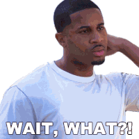 Wait What Zac Sticker