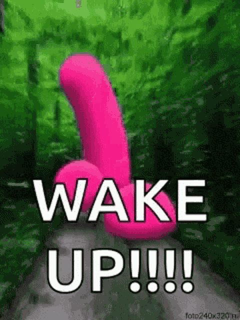 Wake Up Dildo GIF