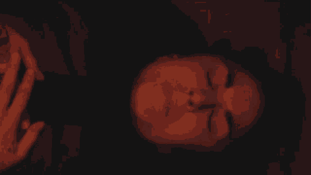 Wake Up Krewella GIF