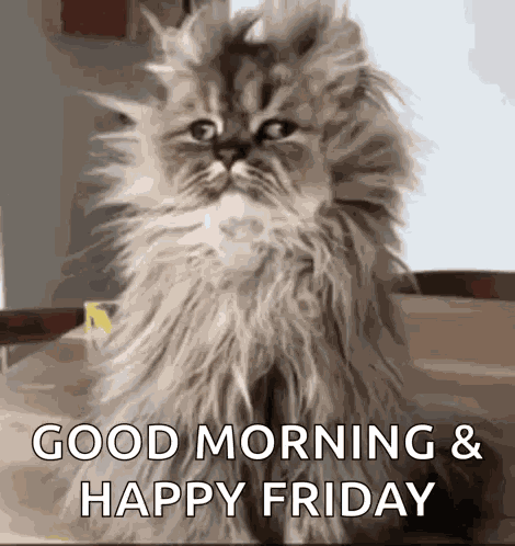 Wake Up Morning GIF