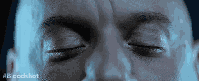 Wake Up Open Eyes GIF