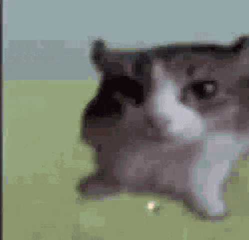 Wake Up GIF