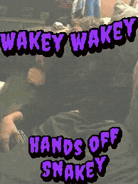 Wakey Wakey Hands Off Snakey GIF
