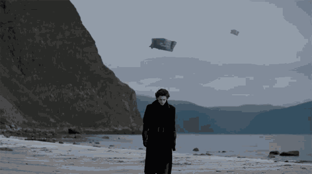 Walk On The Beach Timothee Chalamet GIF