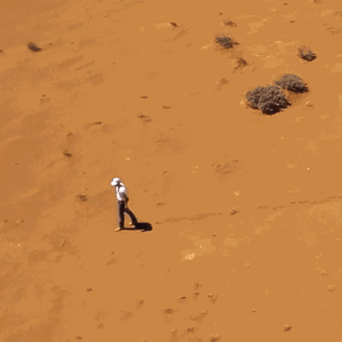 Walking In The Desert Parker Mccollum GIF