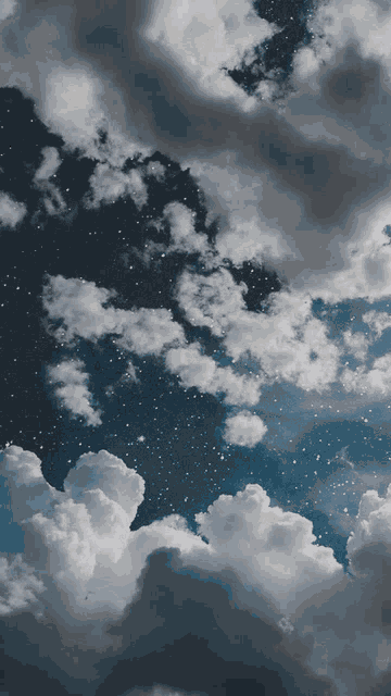 Wallpaper Boxing Meme