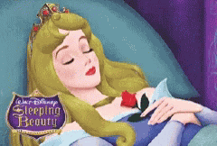 Walt Disney Sleeping Beauty GIF