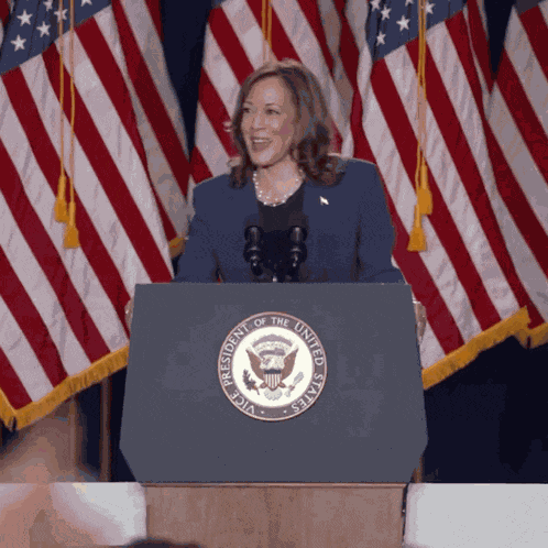 Wandavisionstan Gif GIF