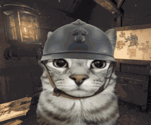 War Cat Meme