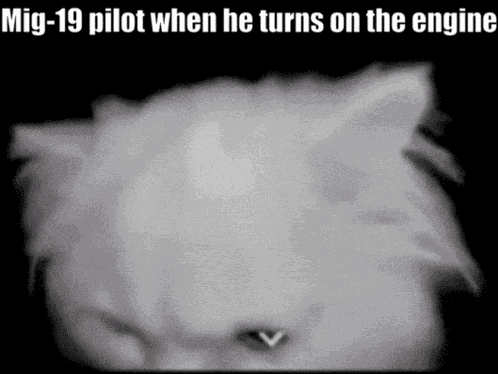 War Thunder War Thunder Mig-19 GIF