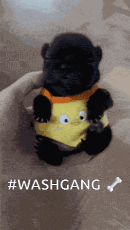 Washgang Washington GIF