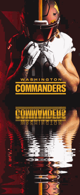 Washington Commanders Washington Football GIF