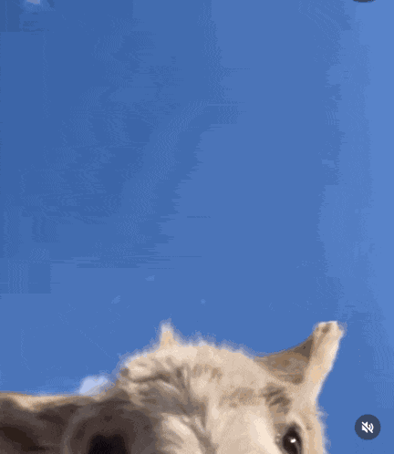 Watching I See You GIF