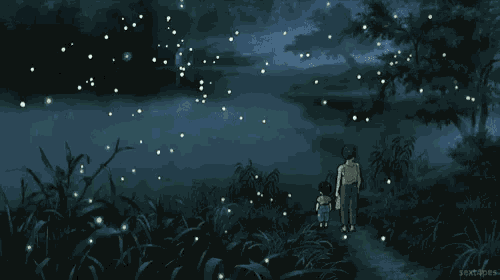 Watching The Fireflies GIF
