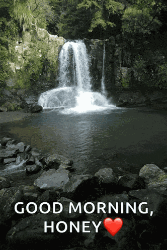 Waterfall Nature GIF