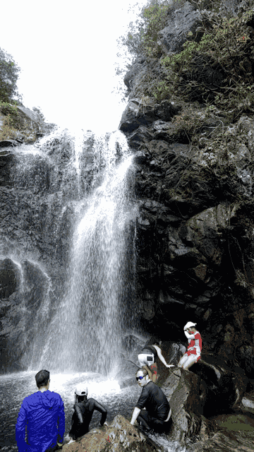 Waterfall Nature GIF