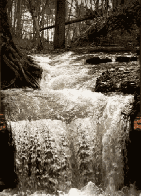 Waterfall Nature GIF