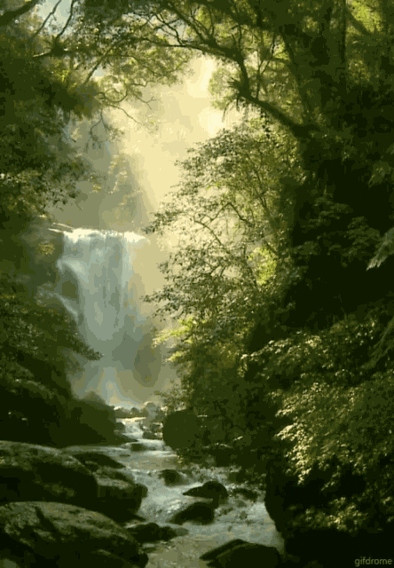 Waterfalls Nature GIF