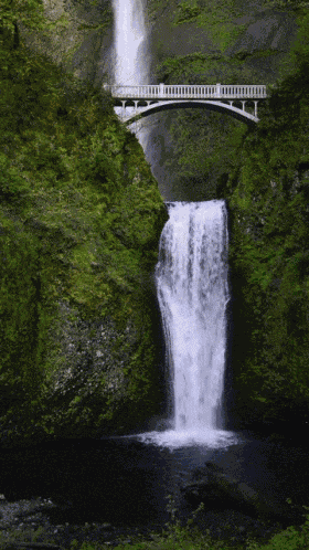 Waterfalls Scenery GIF