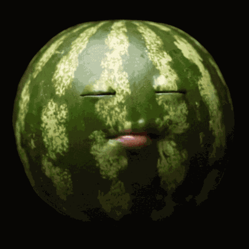 Watermelon Watermelon Eating GIF