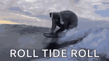 Wave Elephant GIF