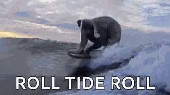 Wave Elephant GIF