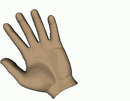 Wave Hand GIF
