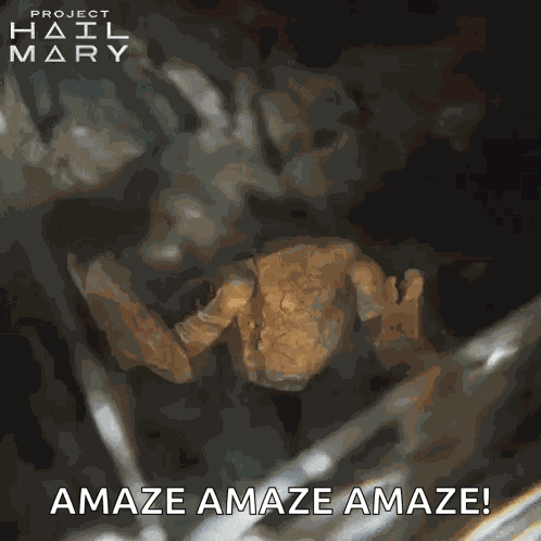 Waving Rocky GIF