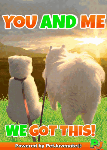 We Got This Pj You And Me We Got This Pj GIF
