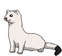 Weasel Ermine Sticker