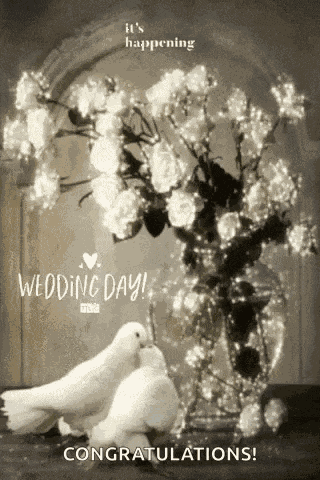 Wedding Day GIF