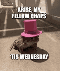Wednesday Frog Meme