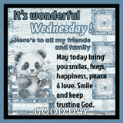 Wednesday Good Morning Wednesday Meme