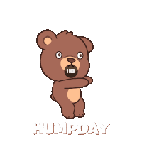 Wednesday Happy Wednesday Sticker