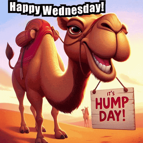 Wednesday Happy Wednesday GIF