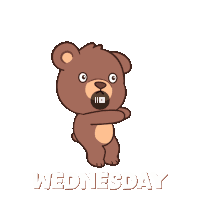 Wednesday Happy Wednesday Sticker