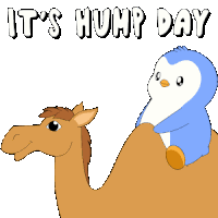 Wednesday Hump Day Sticker