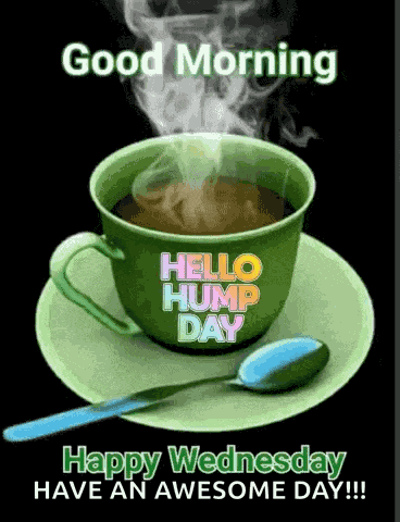 Wednesday Hump Day GIF