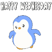 Wednesday Hump Day Sticker