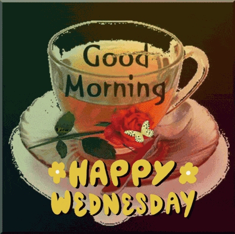 Wednesday GIF