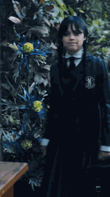 Wednesday Wednesday Addams GIF