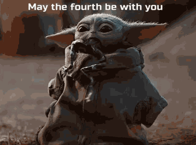 Wednesday Wednesday The Forth GIF