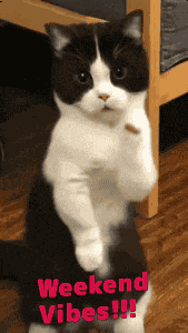 Weekend GIF
