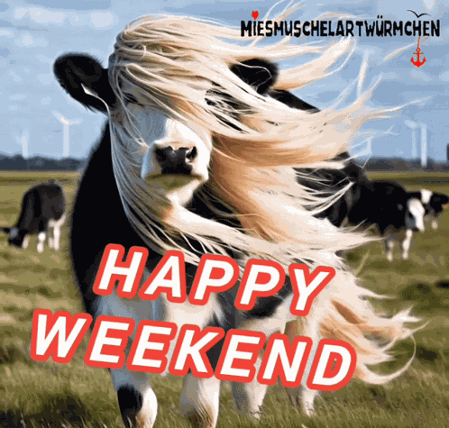 Weekend Friday GIF